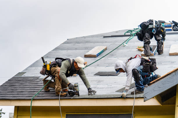 Professional Gutter Installation technician working in Ontario, NY